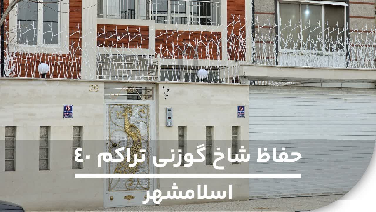 نمونه کار نصب شده حفاظ شاخ گوزنی تراکم 40 برند دژهود