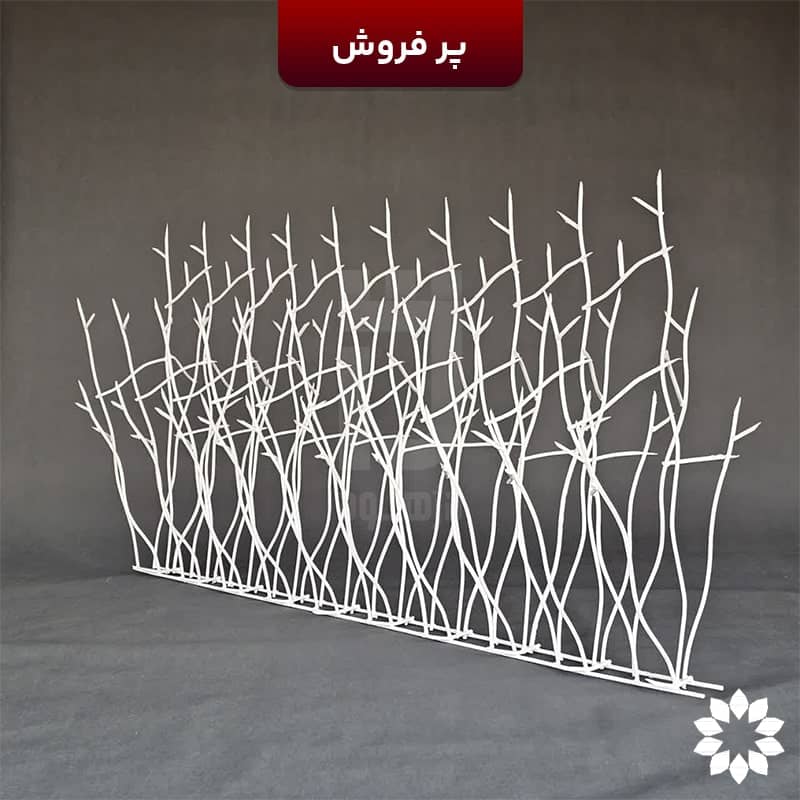 نما کنار از حفاظ شاخ گوزنی ویژه دژهود تراکم 50