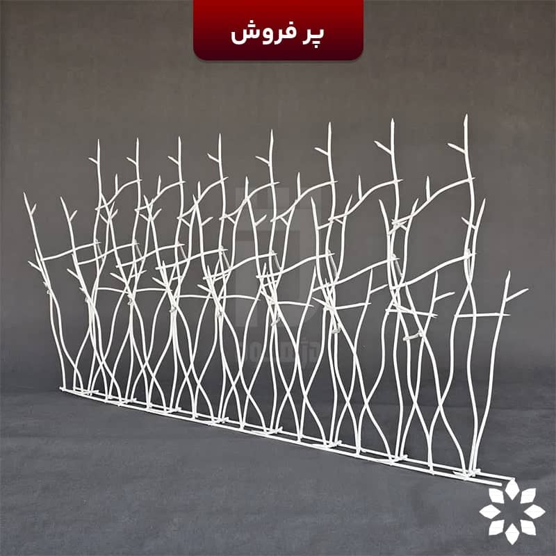 نما کنار از حفاظ شاخ گوزنی ویژه دژهود تراکم 40