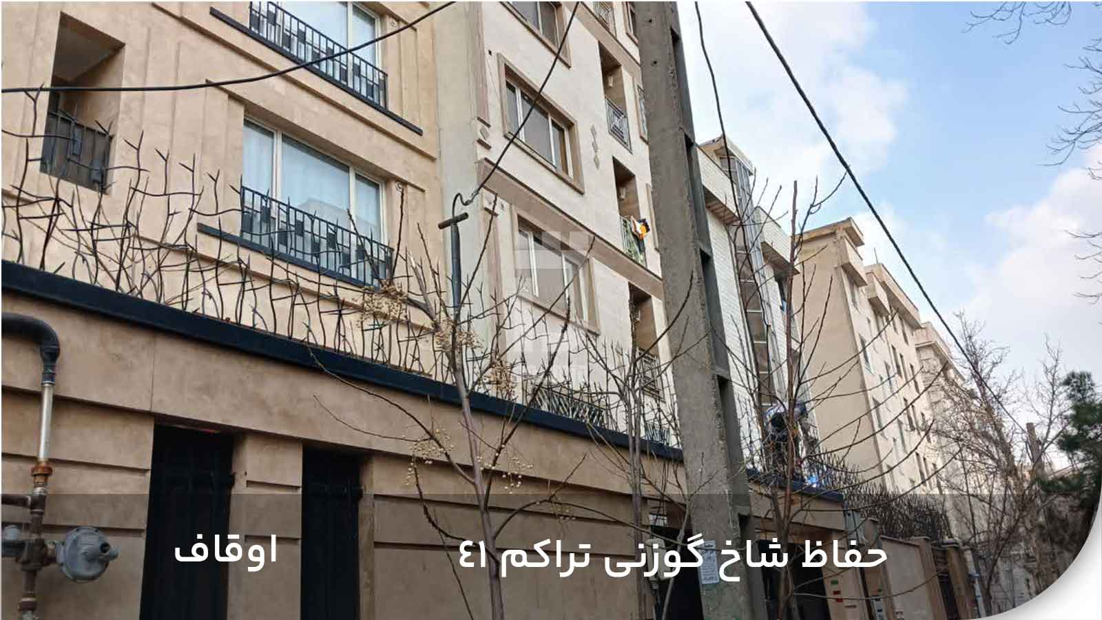 نصب حفاظ شاخ گوزنی تراکم 41 در اوقاف
