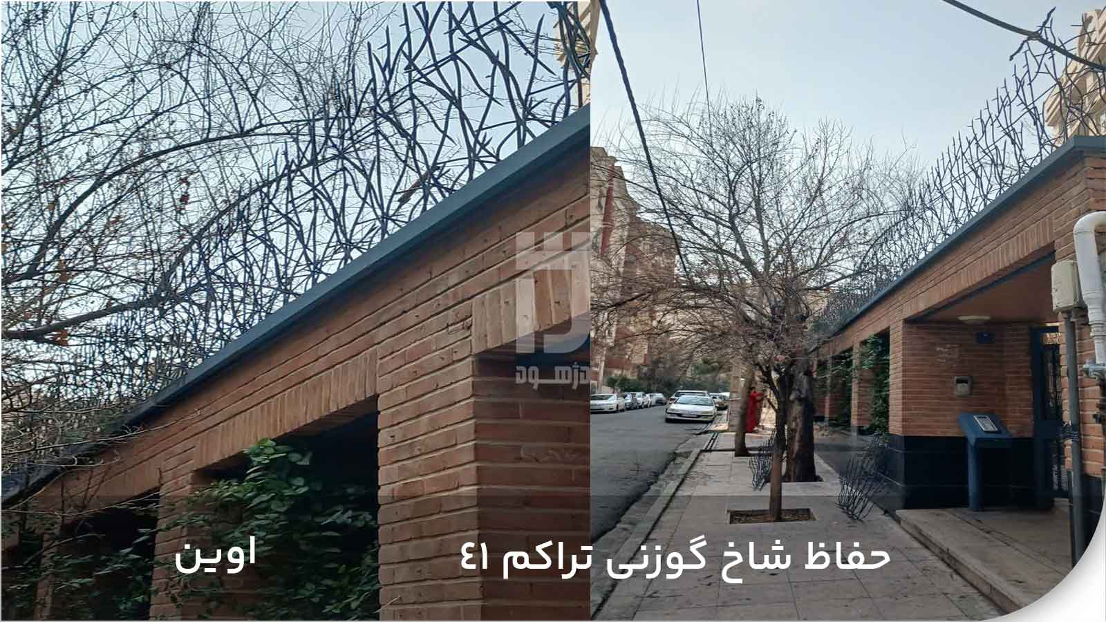 نصب حفاظ شاخ گوزنی تراکم 41 در اوین