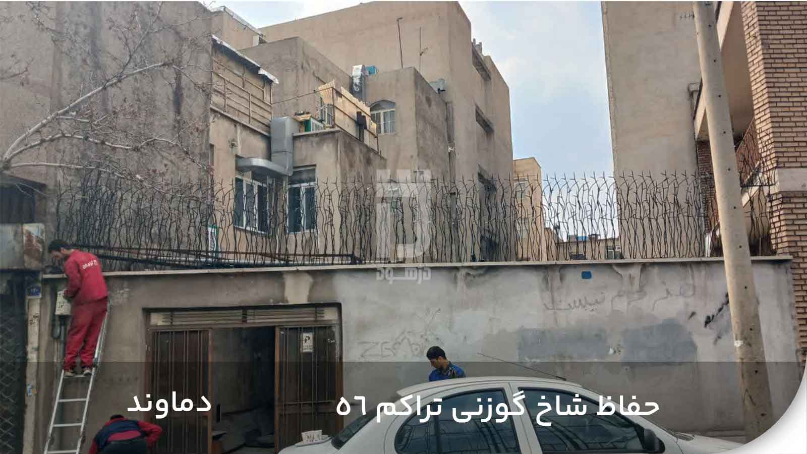 نصب حفاظ شاخ گوزنی تراکم 56 در دماوند