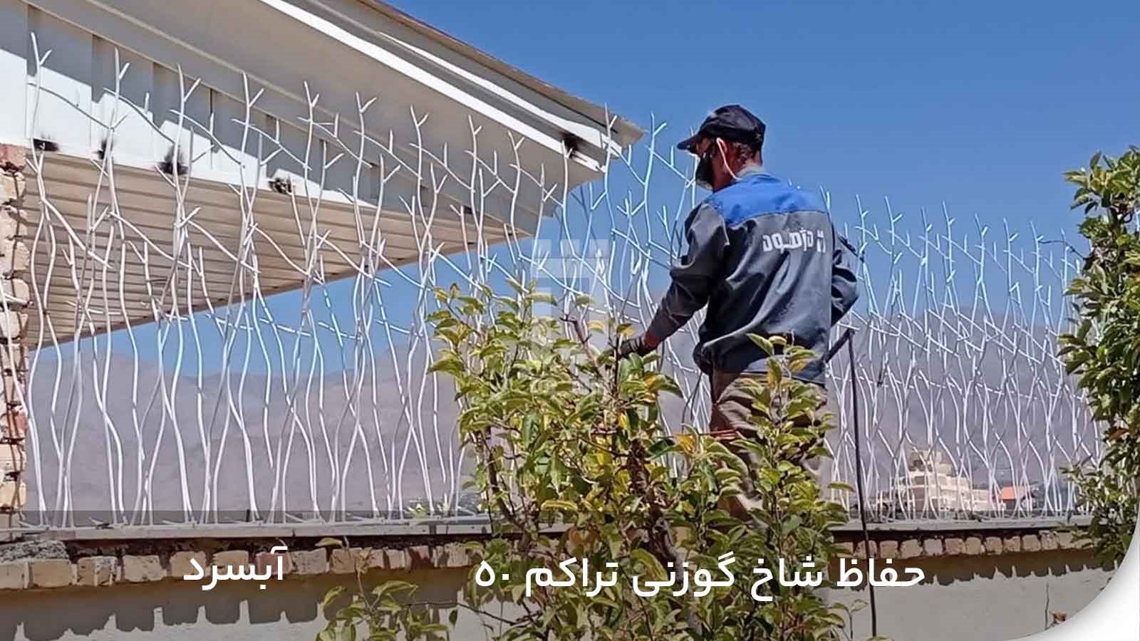 شاخ گوزنی نصب شده در آبسرد