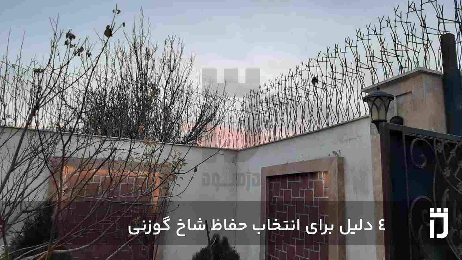 4 دلیل برای انتخاب حفاظ شاخ گوزنی